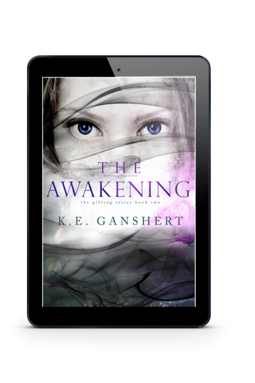 The Awakening (Book 2)