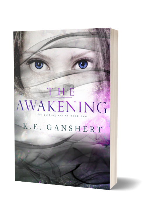 The Awakening (Book 2)