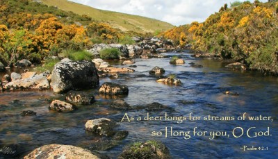 psalm 42 1