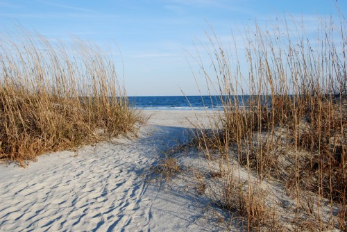 South Carolina 3
