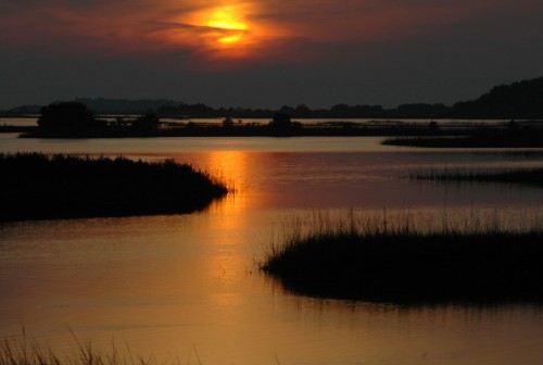 South Carolina 5
