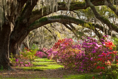 south carolina 2