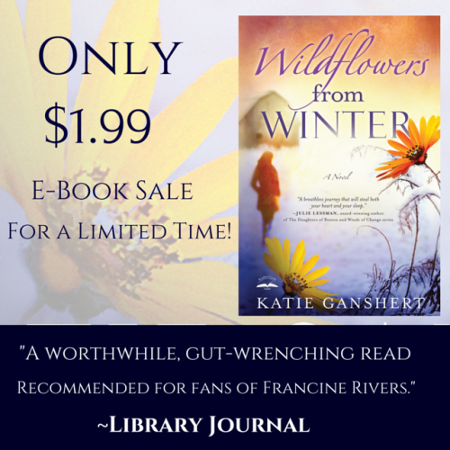 instagram ebook sale
