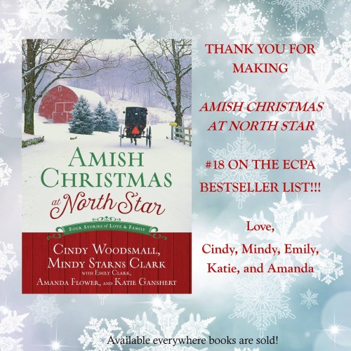 year in review amish bestseller