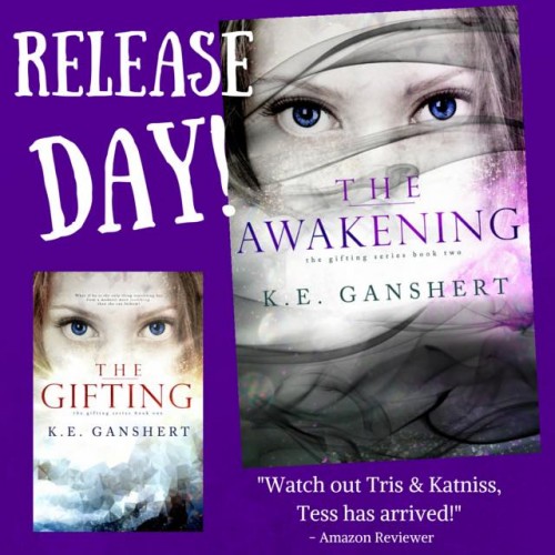 year in review the awakening release